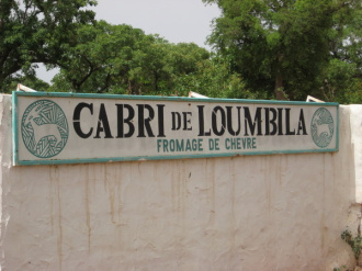 01 Le Cabri De Loumbila